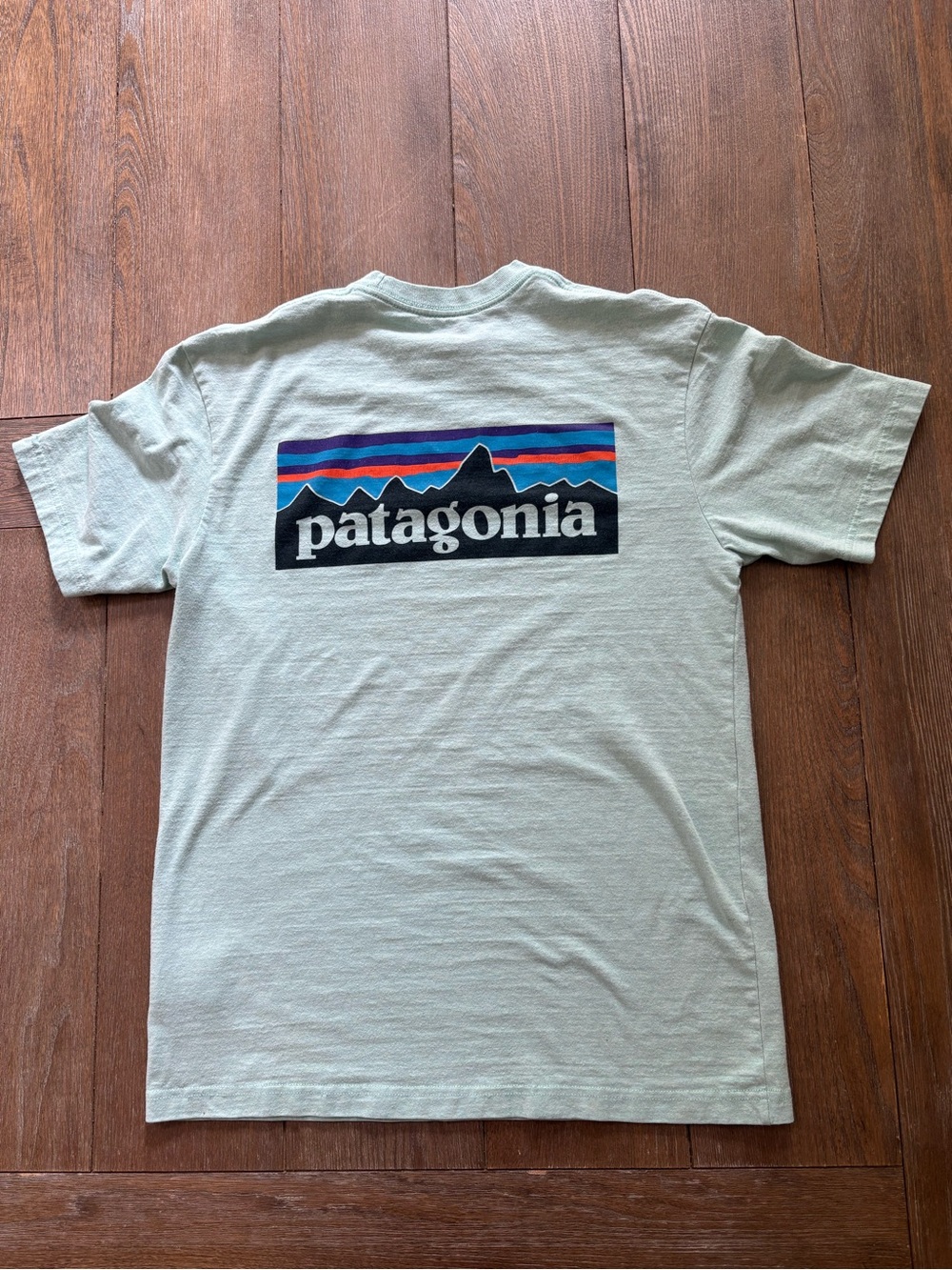 Patagonia P-6 Logo T-Shirt Teal Green Graphic Tee Small